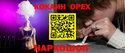 прущие грибы Комсомольск-на-Амуре