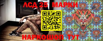 гидра Коммунар