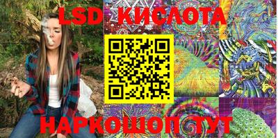прущие грибы Комсомольск-на-Амуре