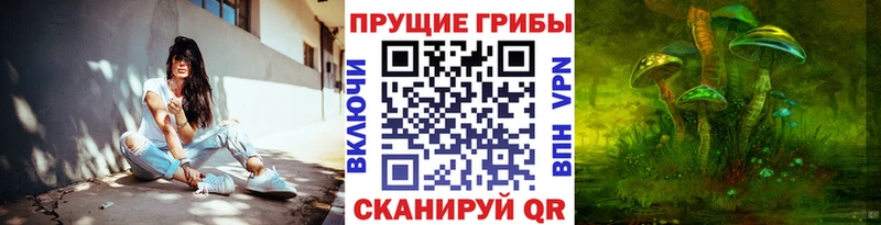 shop Telegram  kraken tor  Вятские Поляны  Галлюциногенные грибы Cubensis 