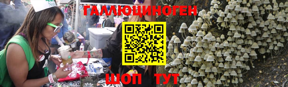 Галлюциногенные грибы GOLDEN TEACHER Вятские Поляны