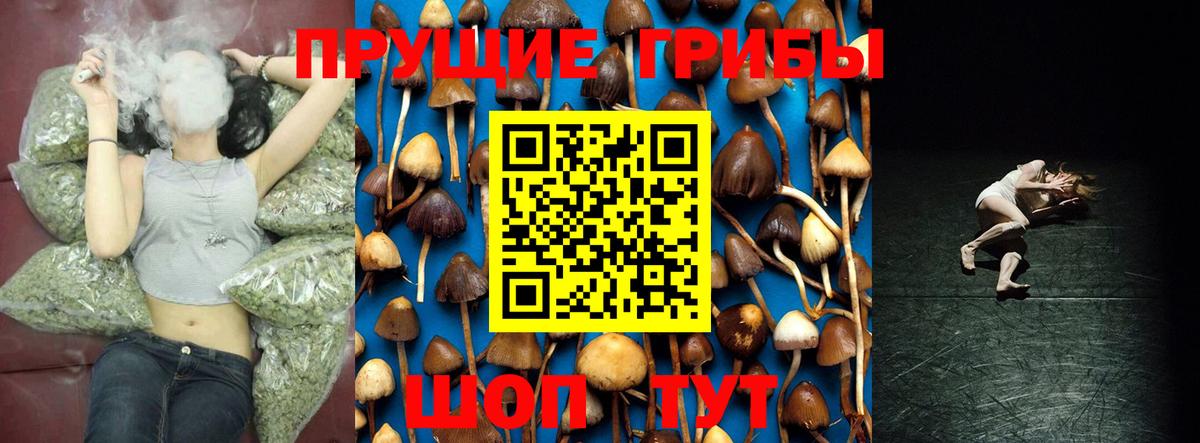 Псилоцибиновые грибы MAGIC MUSHROOMS  Псилоцибиновые грибы Magic Shrooms  Вятские Поляны  Вход с VPN 