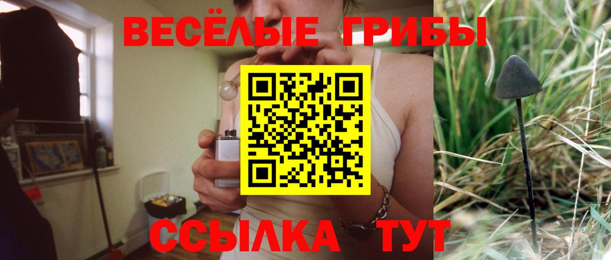 Галлюциногенные грибы Psilocybine cubensis Вятские Поляны